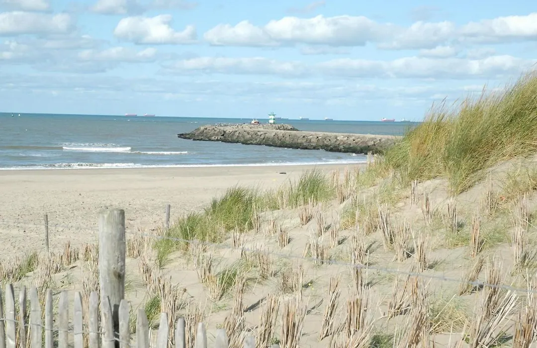 B&B Beach Inn-1
